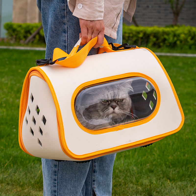 cat carrier