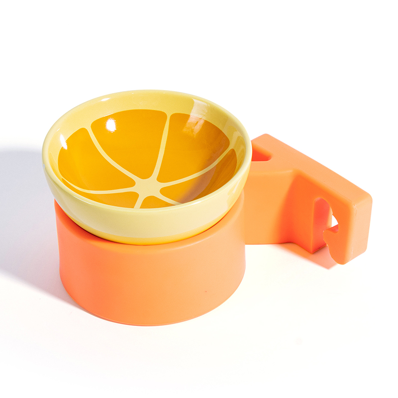 Orange-Themed Cat Bowl